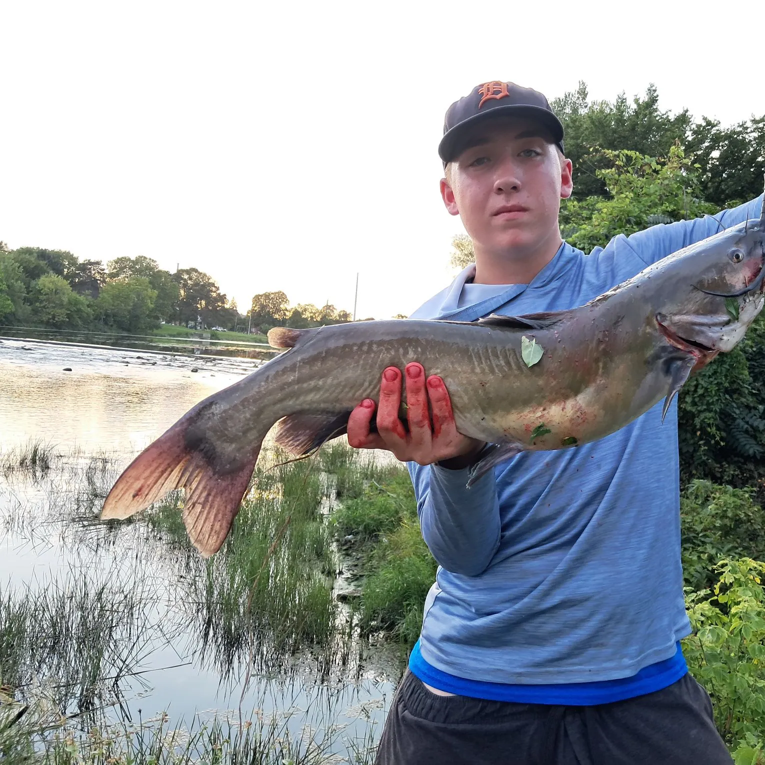 Channel catfish caught on Fishbrain