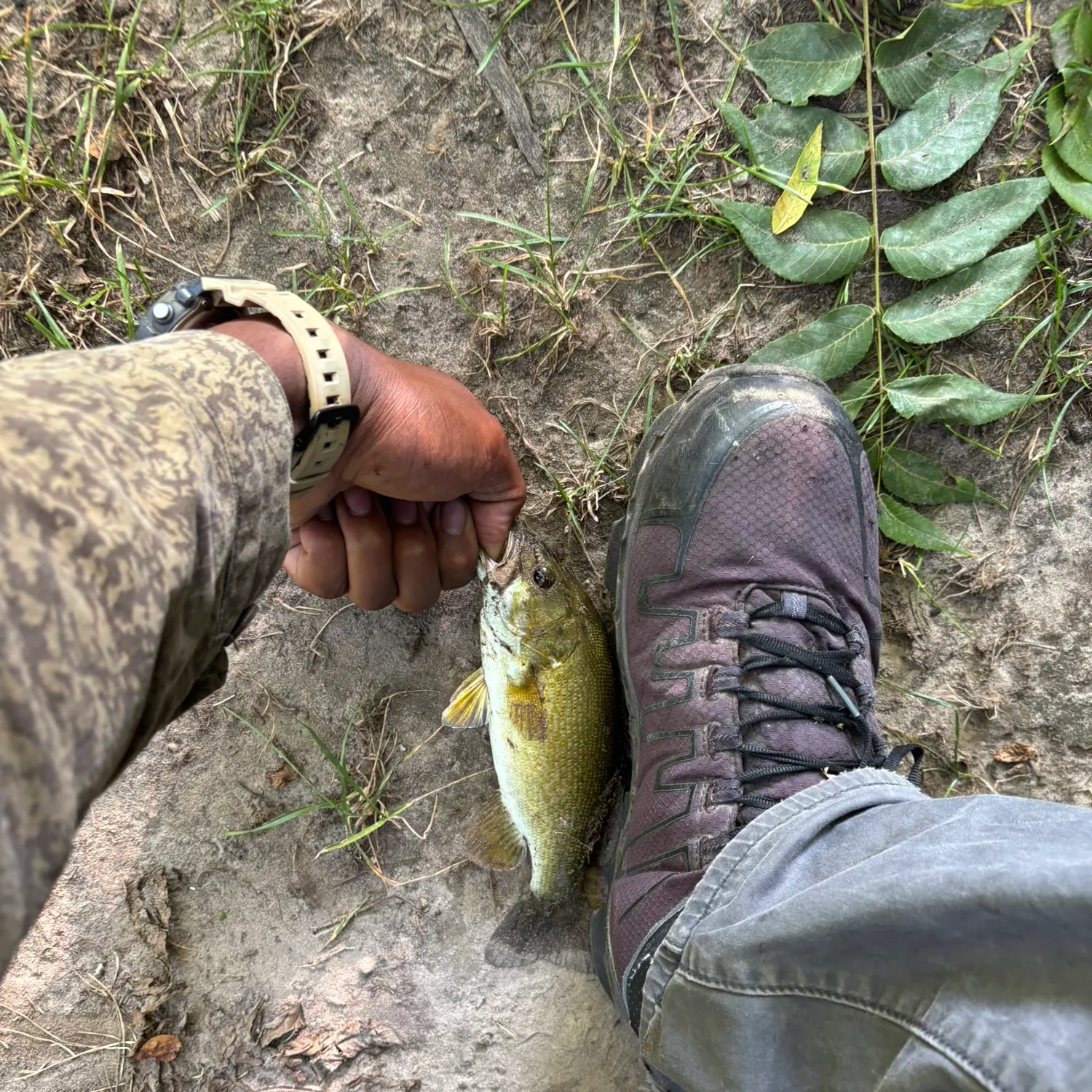catch