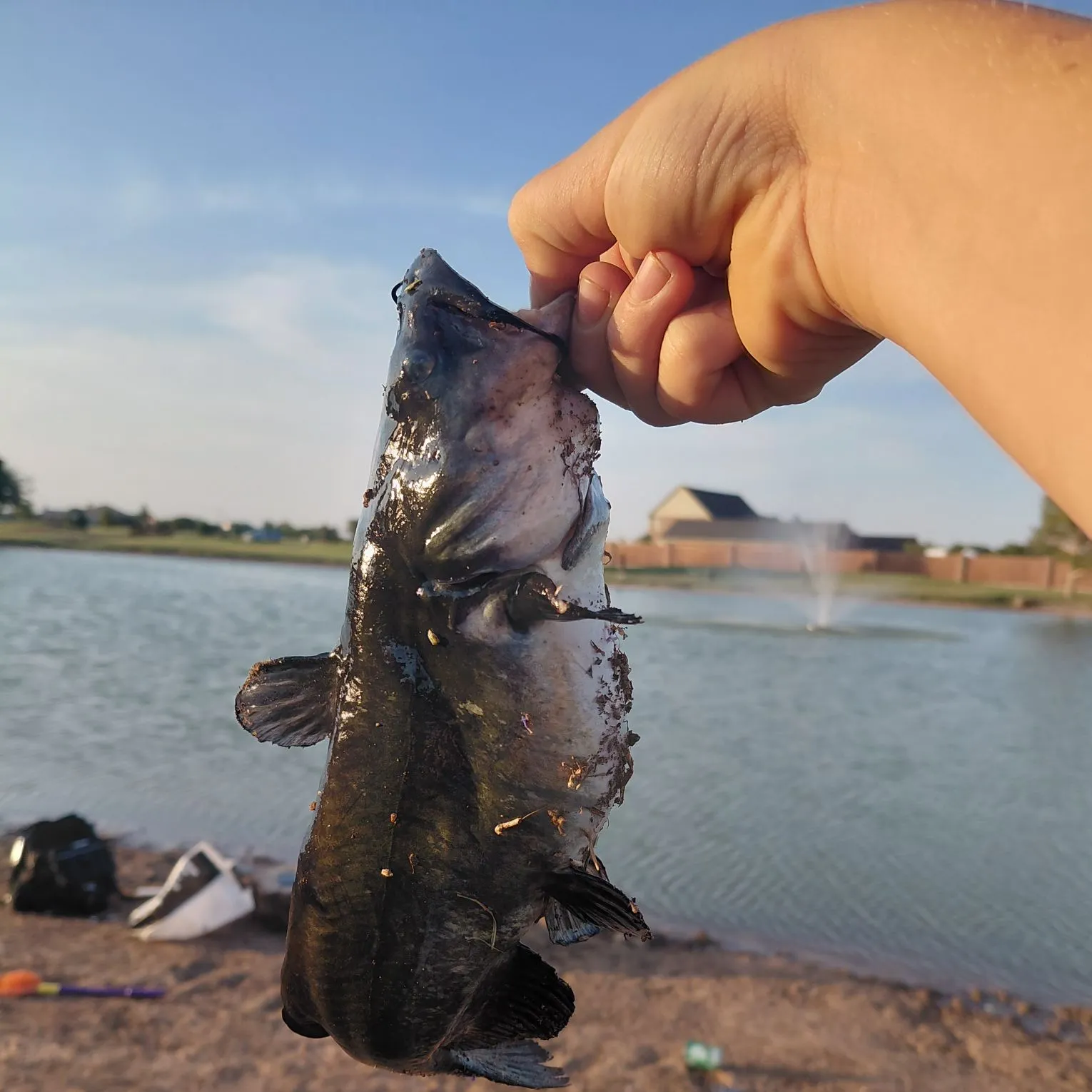 catch