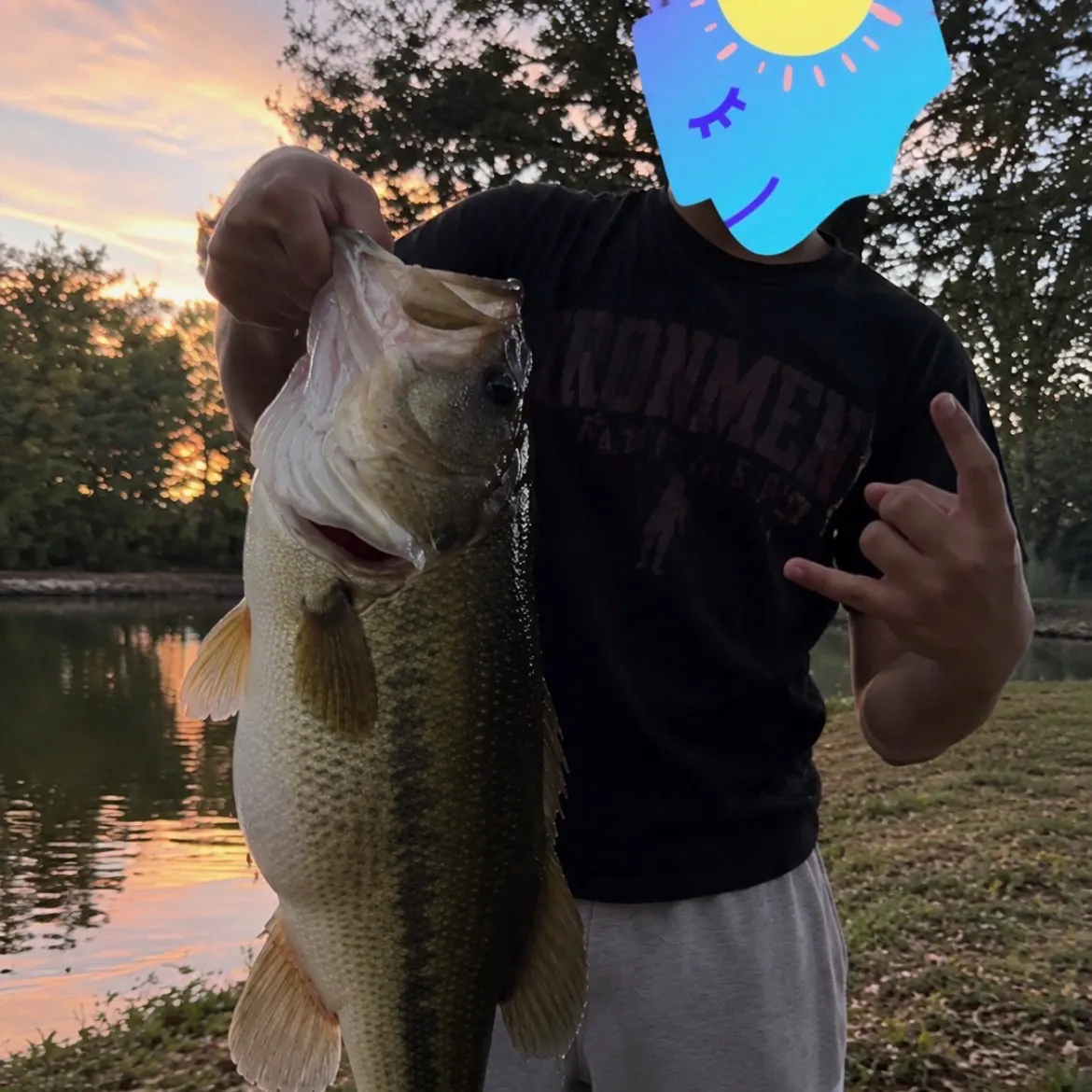 Largemouth bass caught on Fishbrain