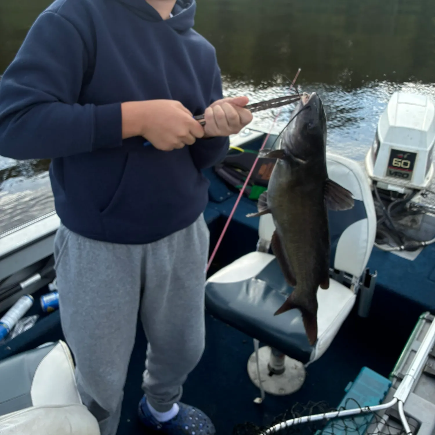 Channel catfish caught on Fishbrain