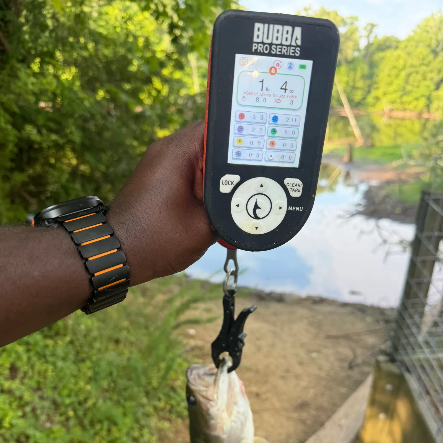 recently logged catches