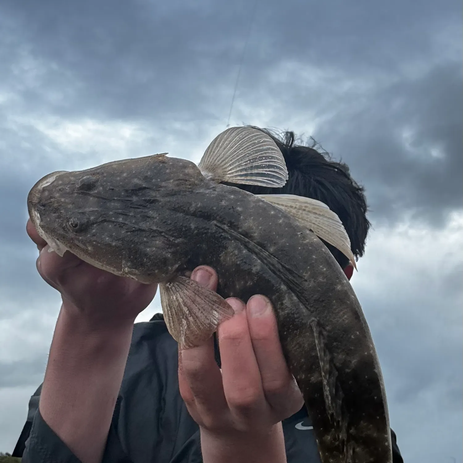 Dusky flathead caught on Fishbrain