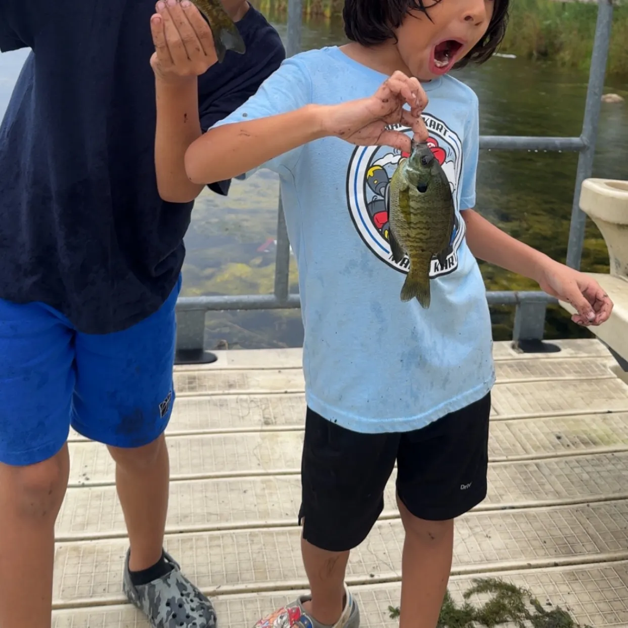 Bluegill caught on Fishbrain