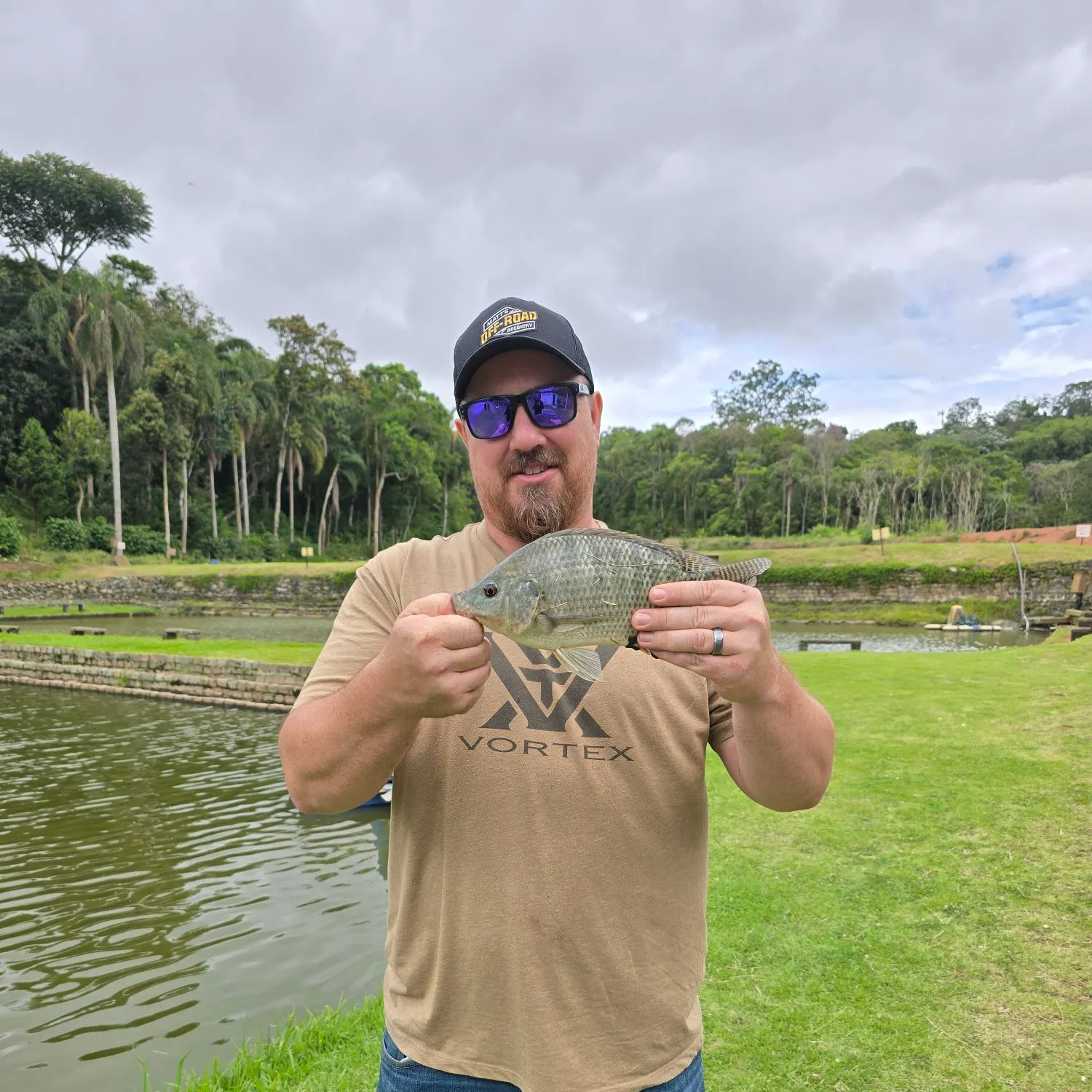 The most recent Nile tilapia catches on Fishbrain