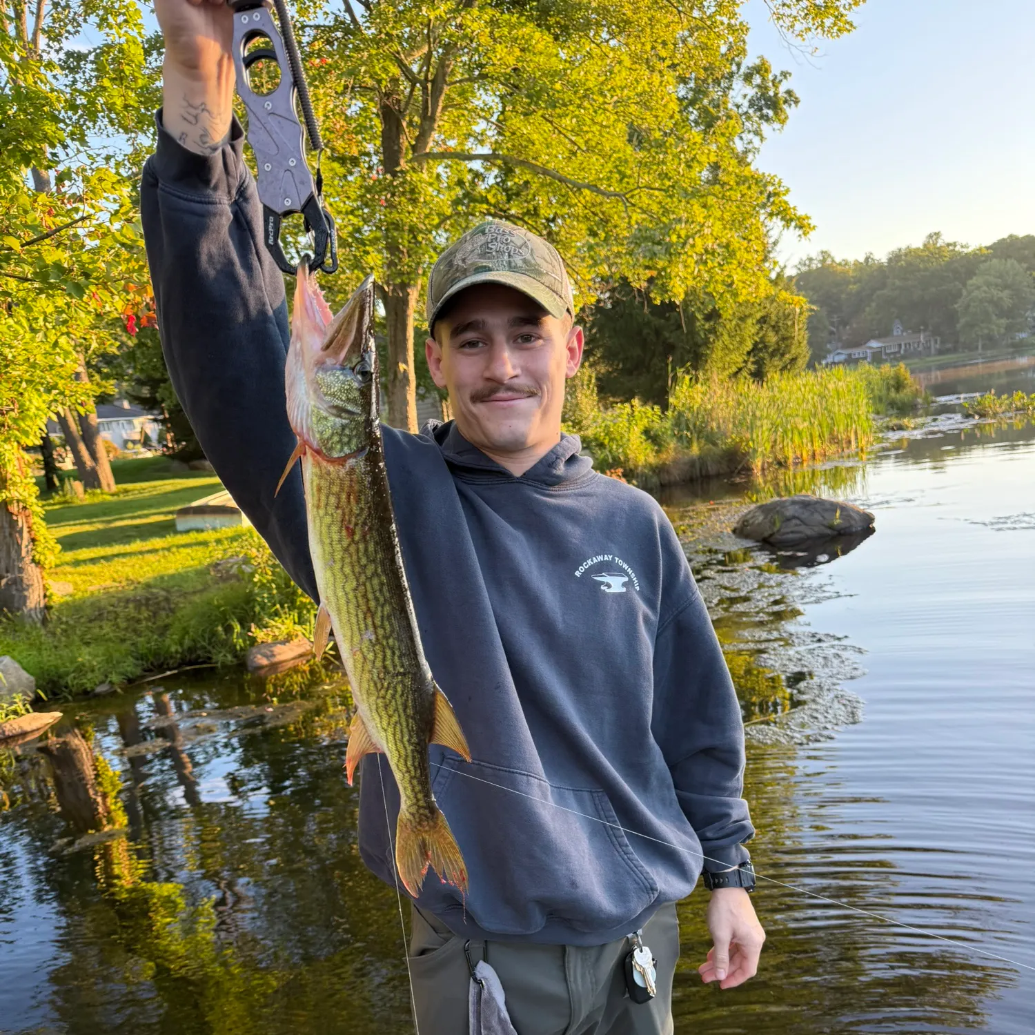 Chain pickerel caught on Fishbrain