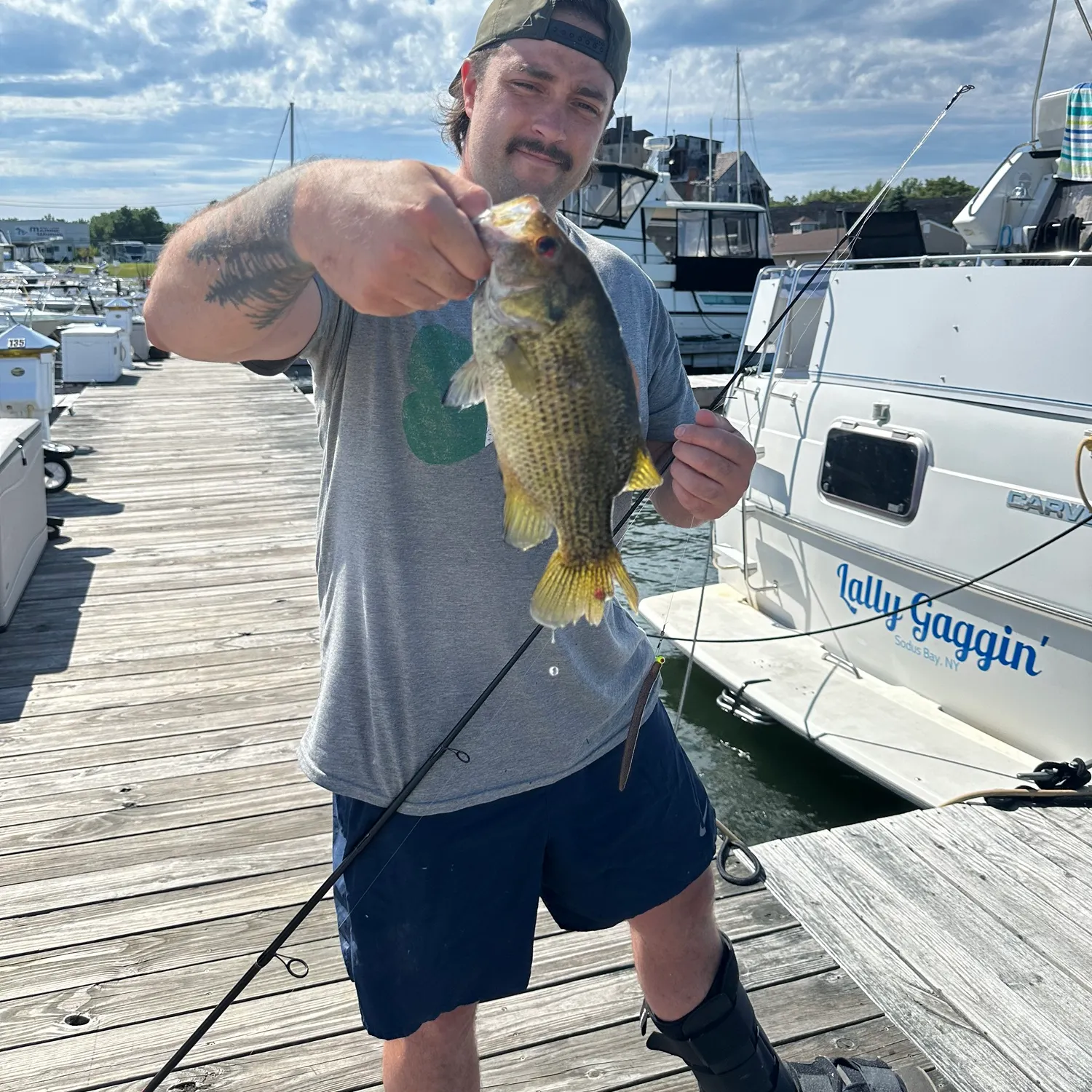 recently logged catches