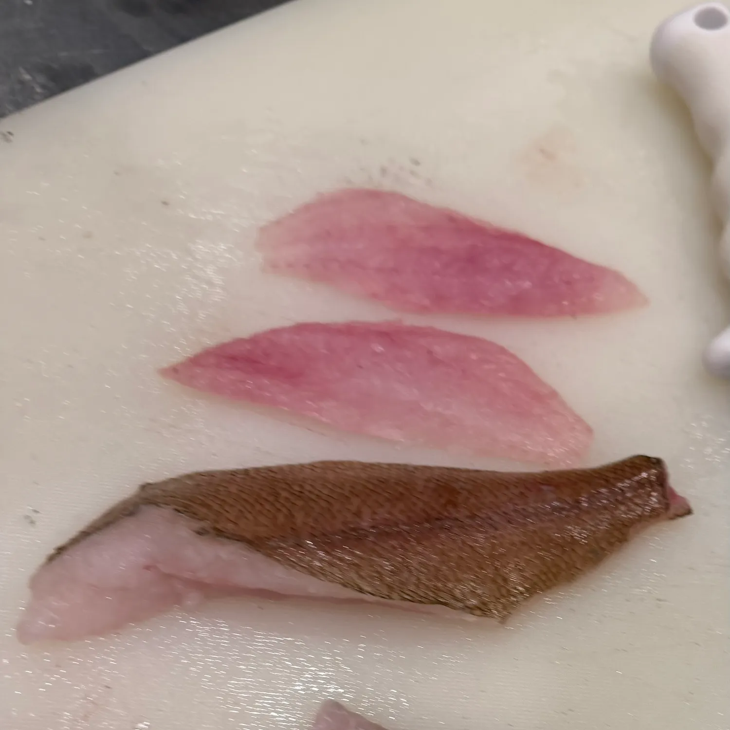 The most recent Pacific sanddab catches on Fishbrain