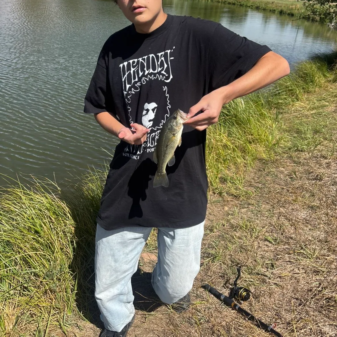 Smallmouth bass caught on Fishbrain