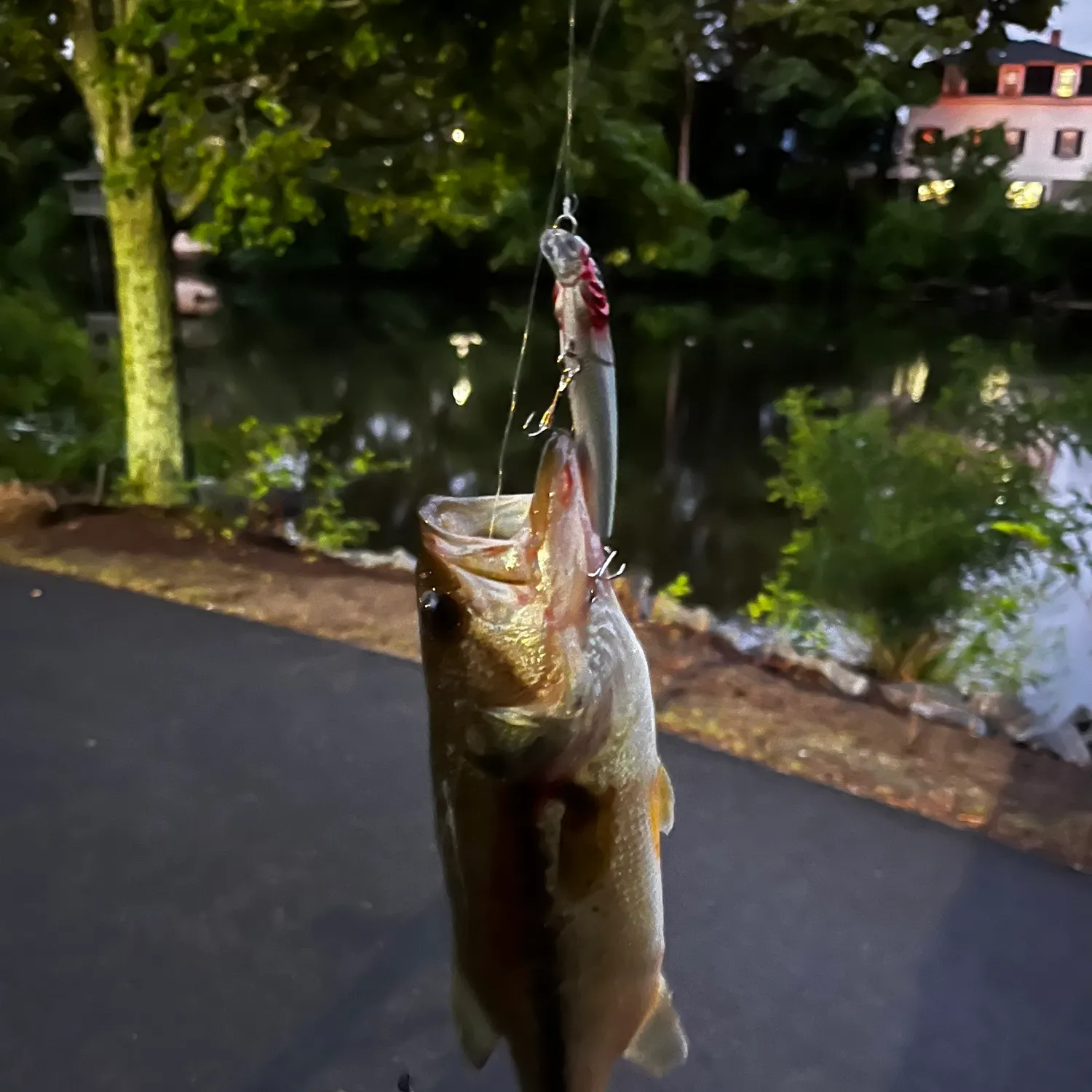 catch