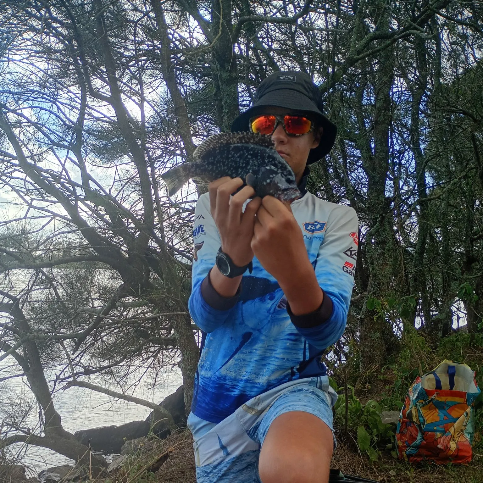The most recent Blubberlip snapper catches on Fishbrain