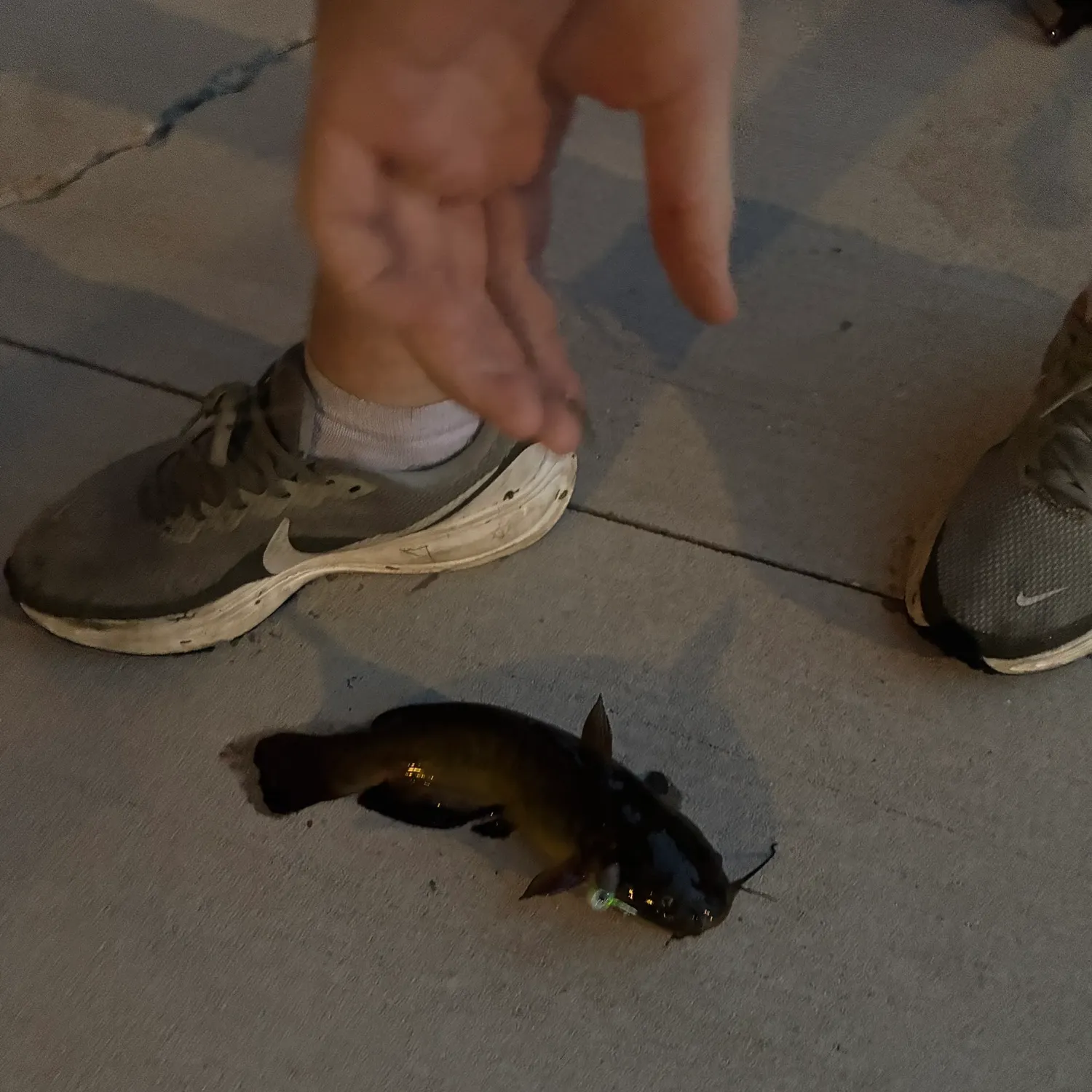 catch