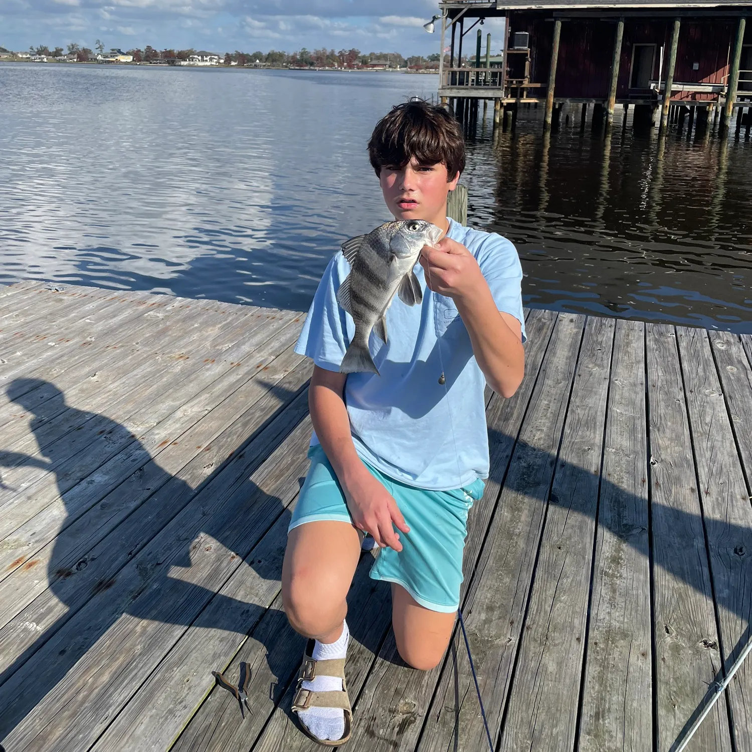 The most recent Black drum catches on Fishbrain