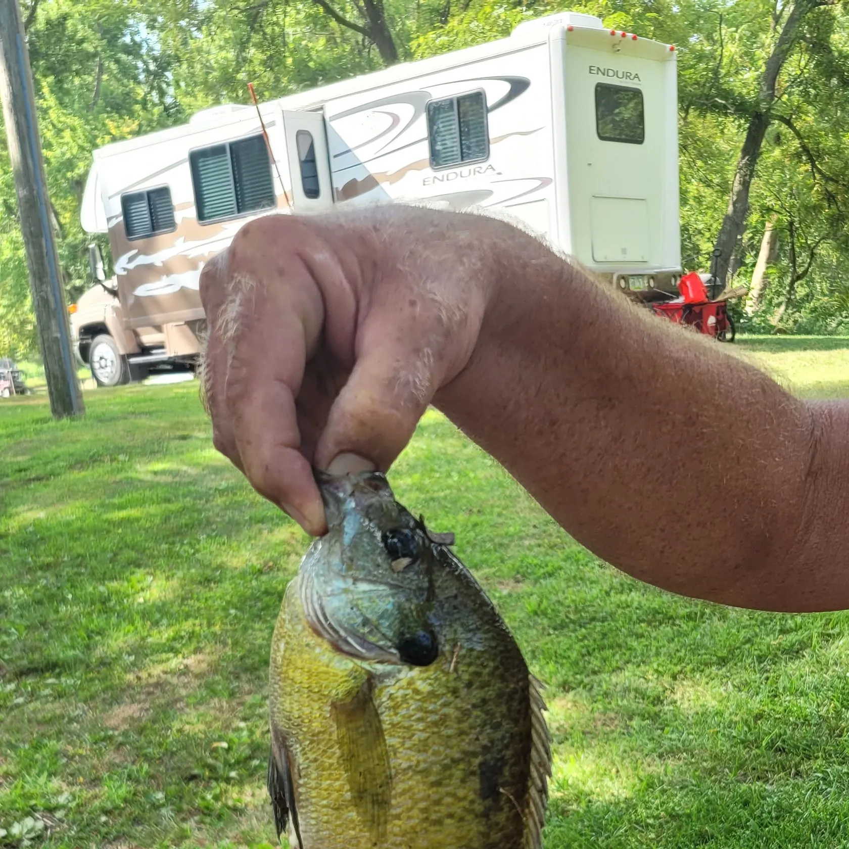 catch