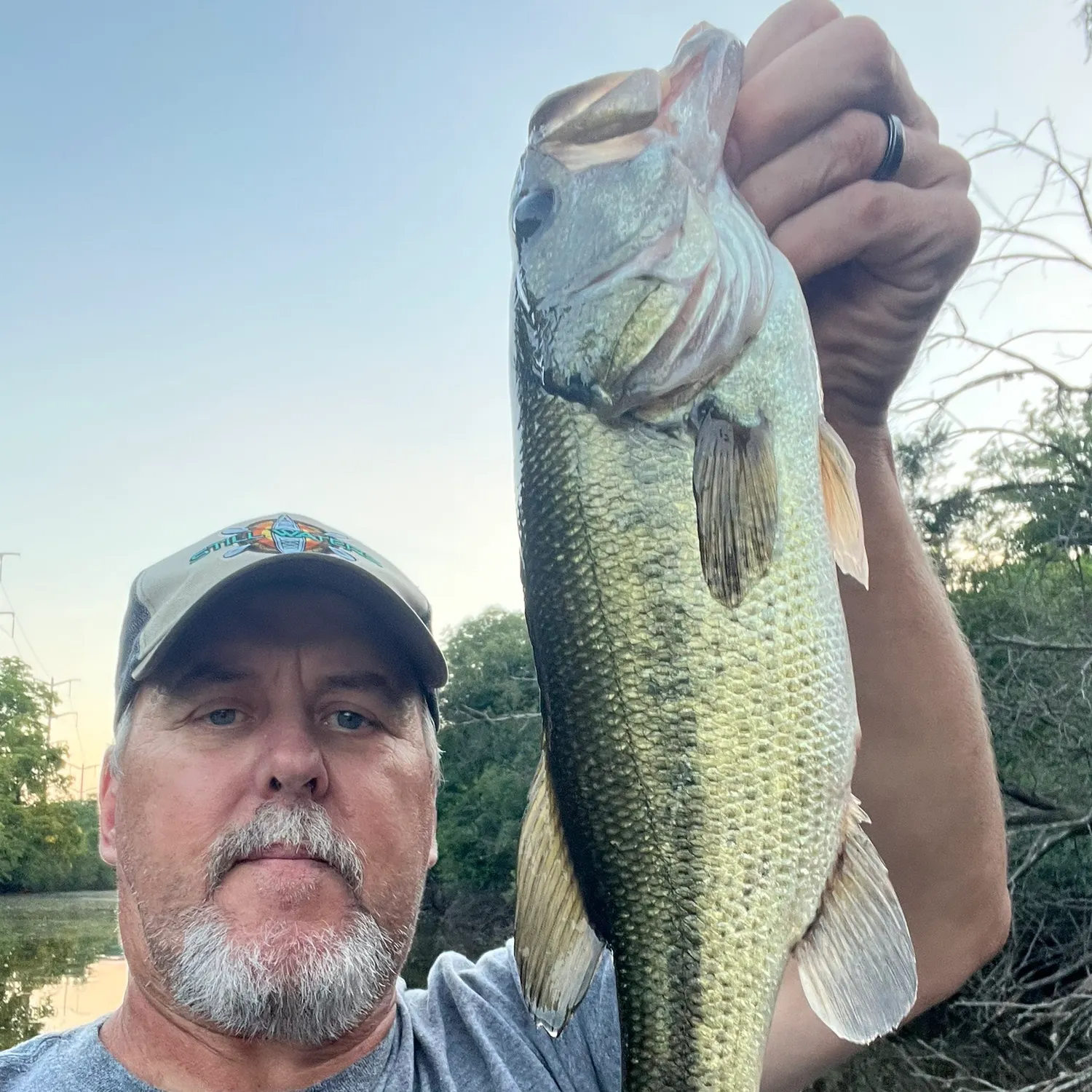 Largemouth bass caught on Fishbrain
