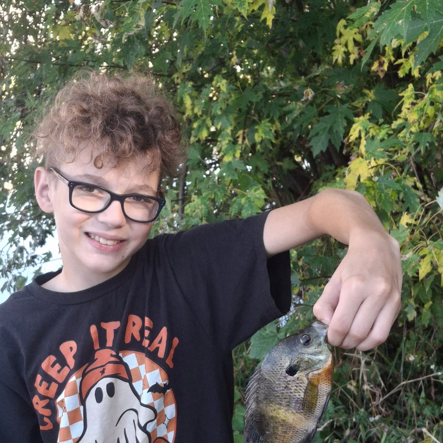 Bluegill caught on Fishbrain
