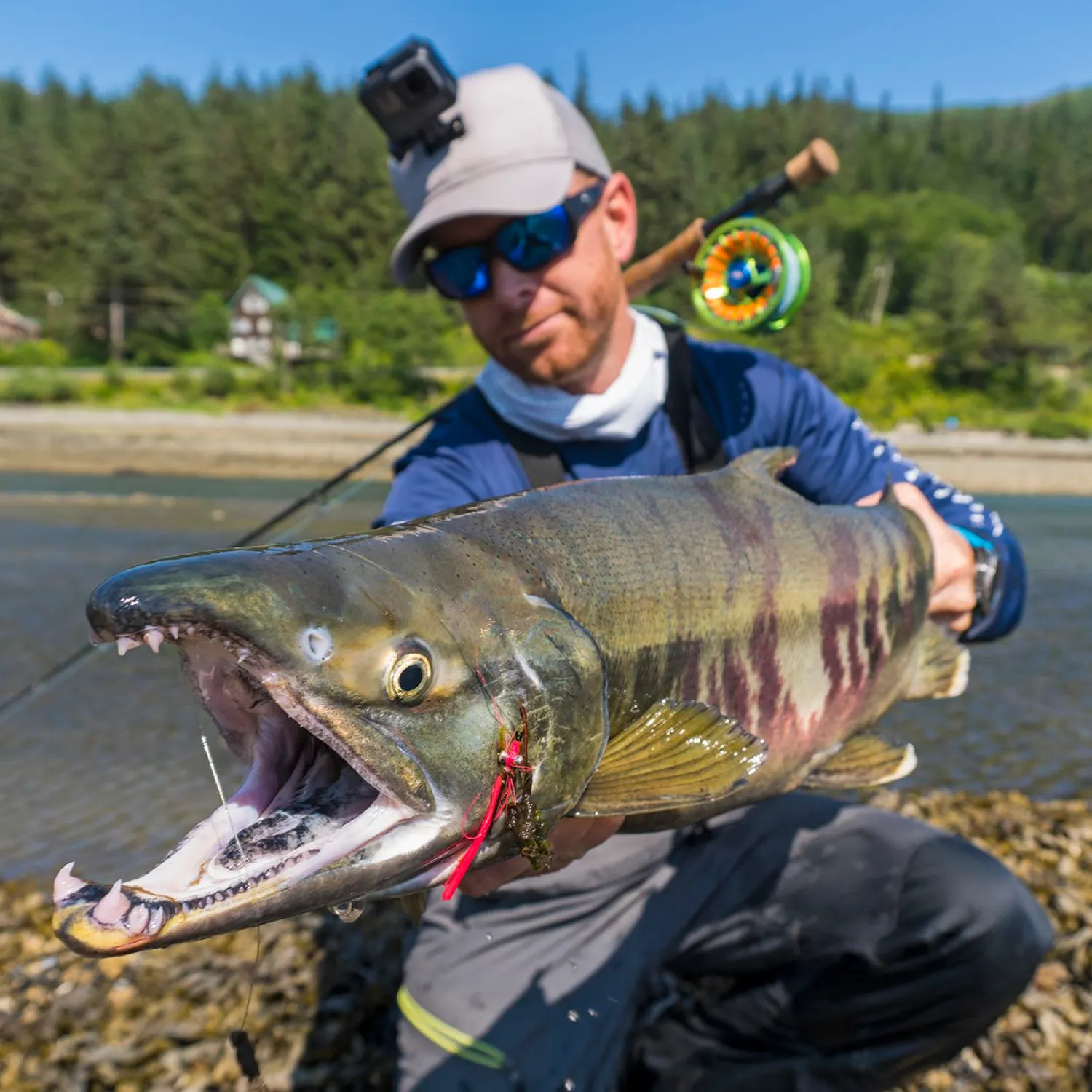 The most popular recent Chum salmon catch on Fishbrain