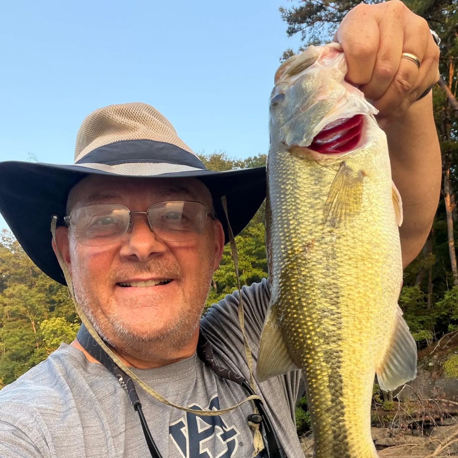 Largemouth bass caught on Fishbrain