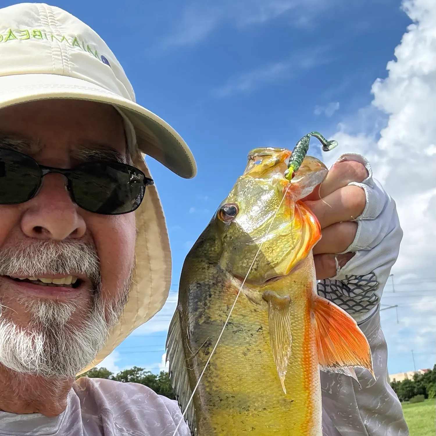 The most recent Butterfly peacock bass catches on Fishbrain