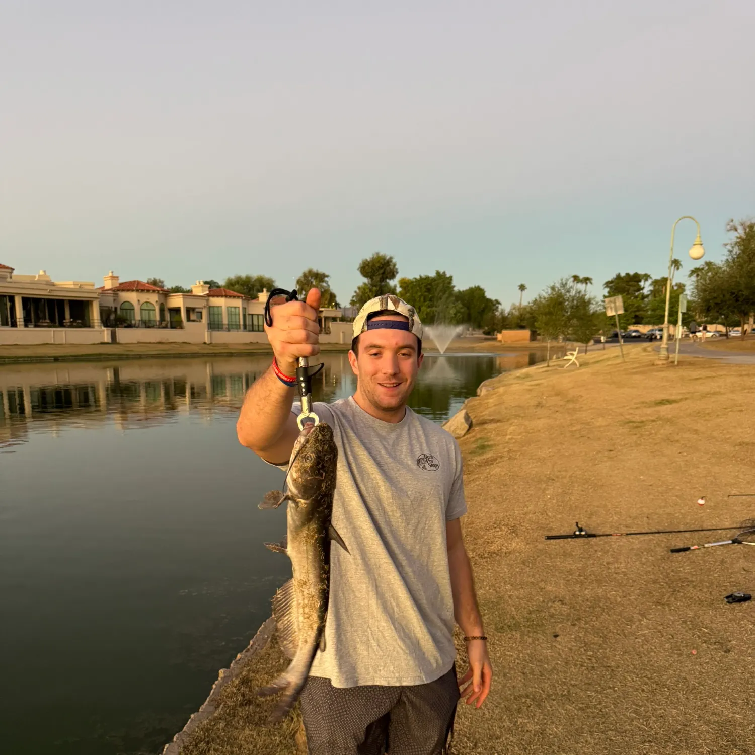 Channel catfish caught on Fishbrain