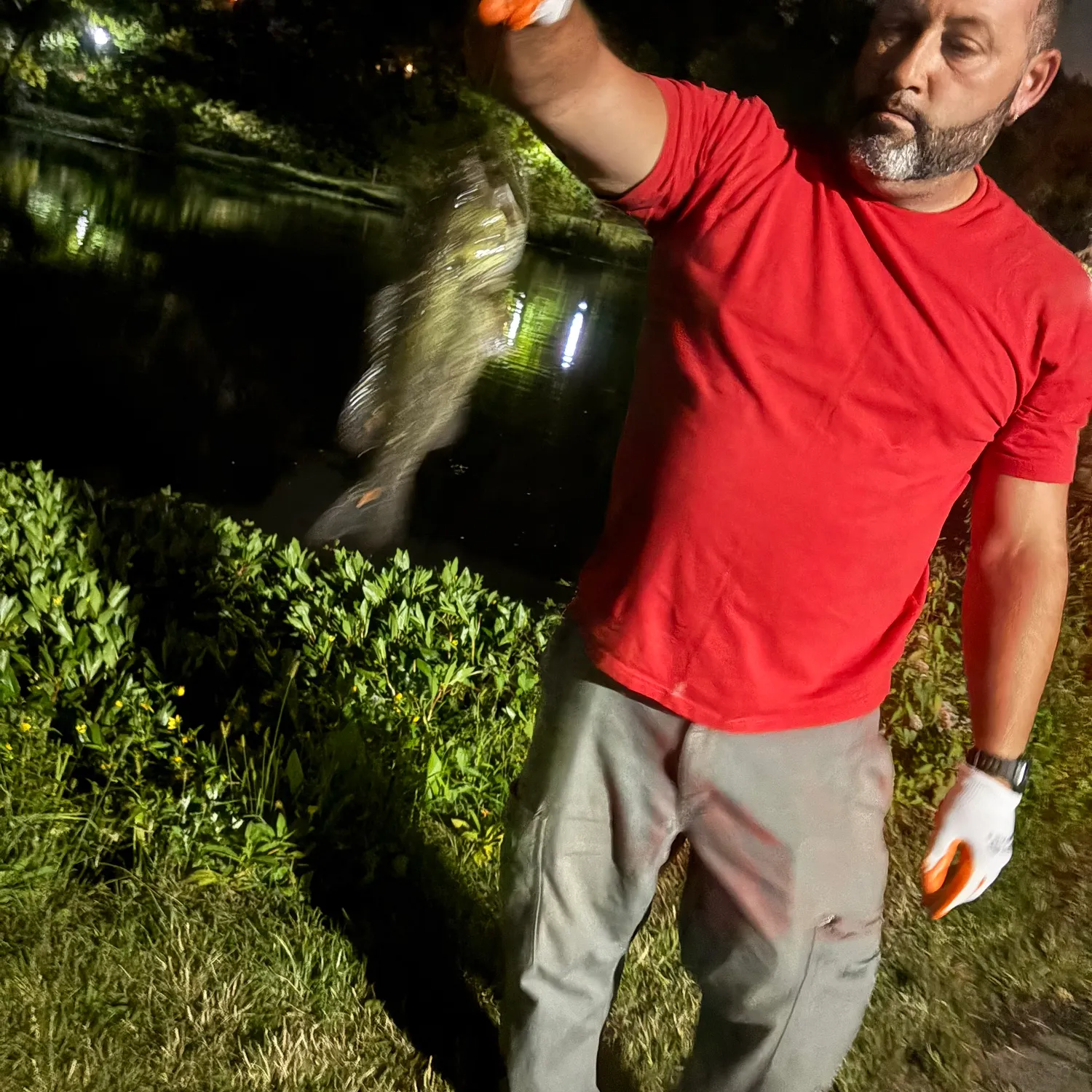 catch