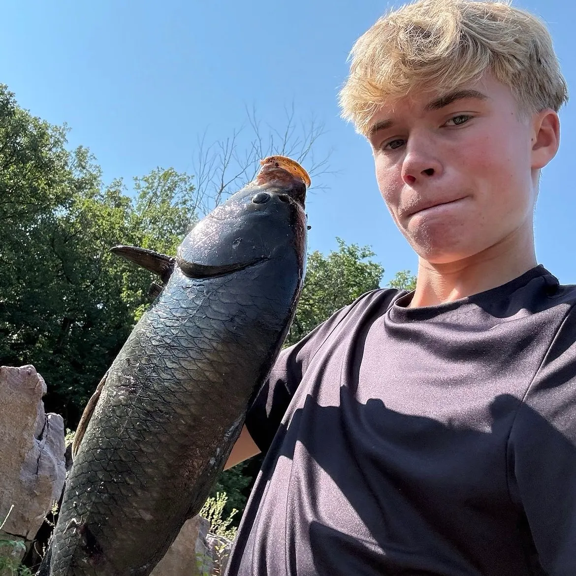 The most recent Black buffalo catches on Fishbrain