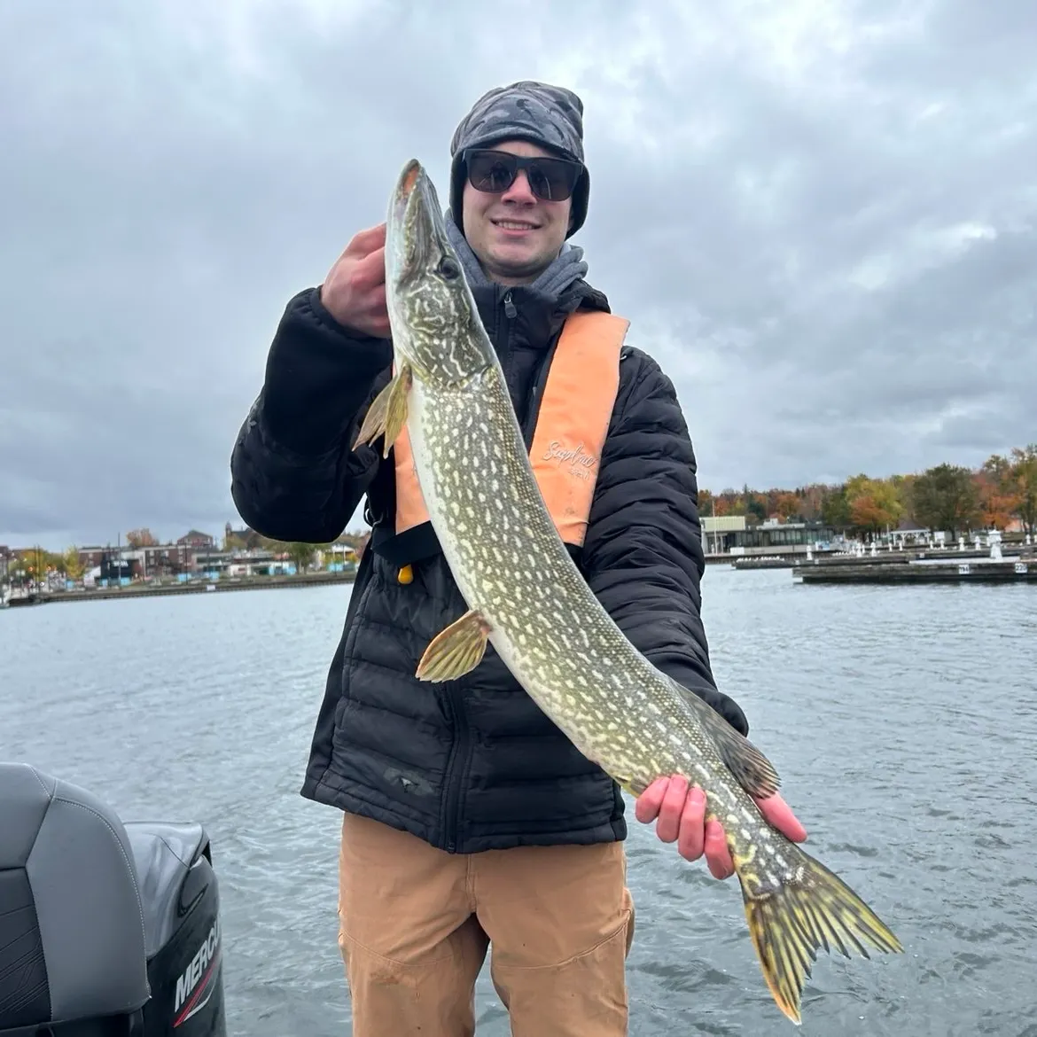 Northern pike caught on Fishbrain