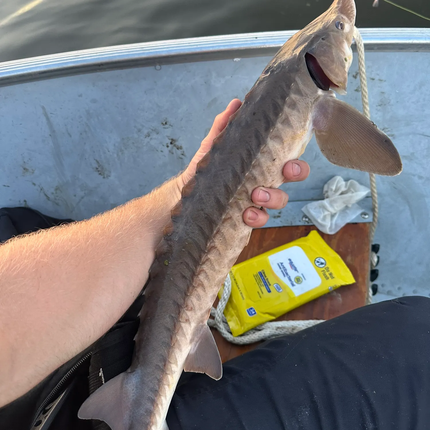 catch