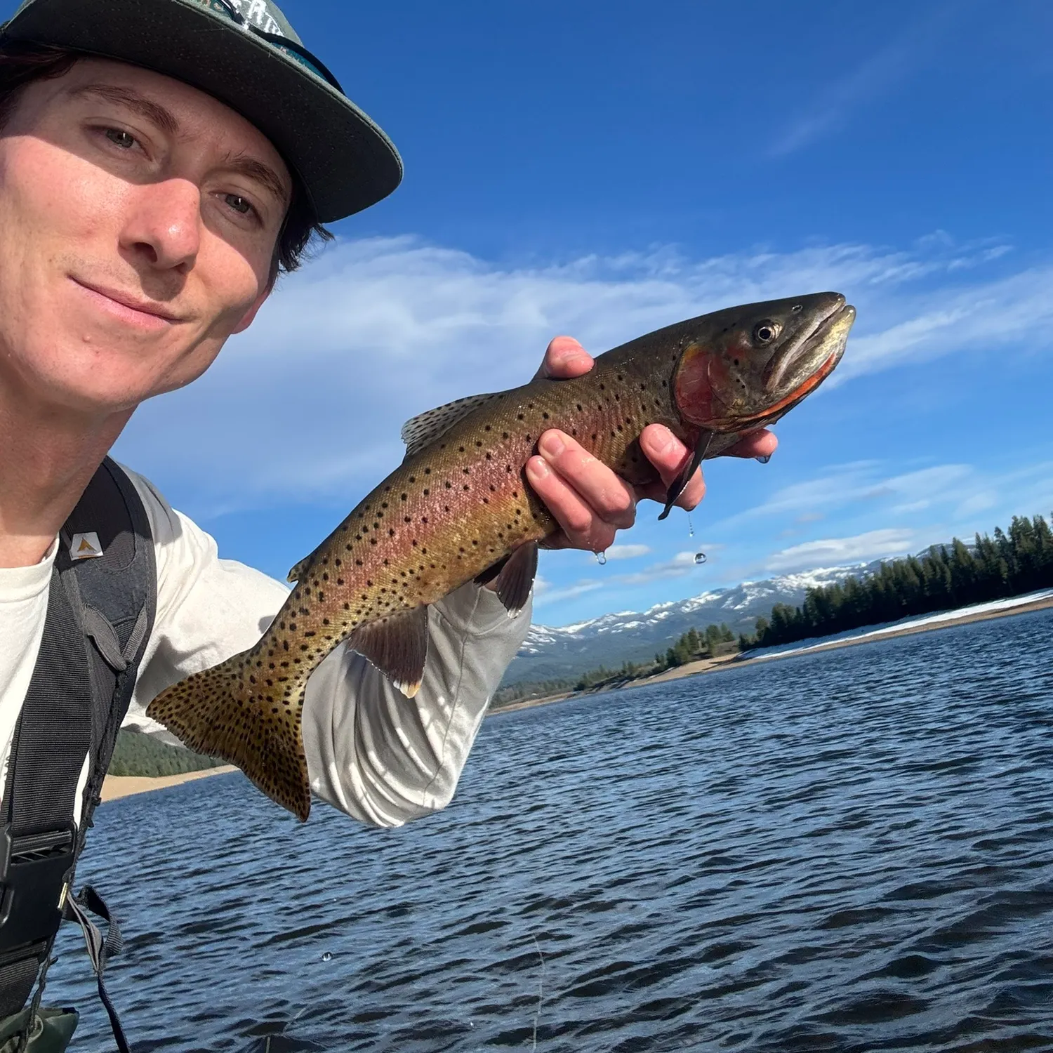 The most recent Lahontan cutthroat trout catches on Fishbrain
