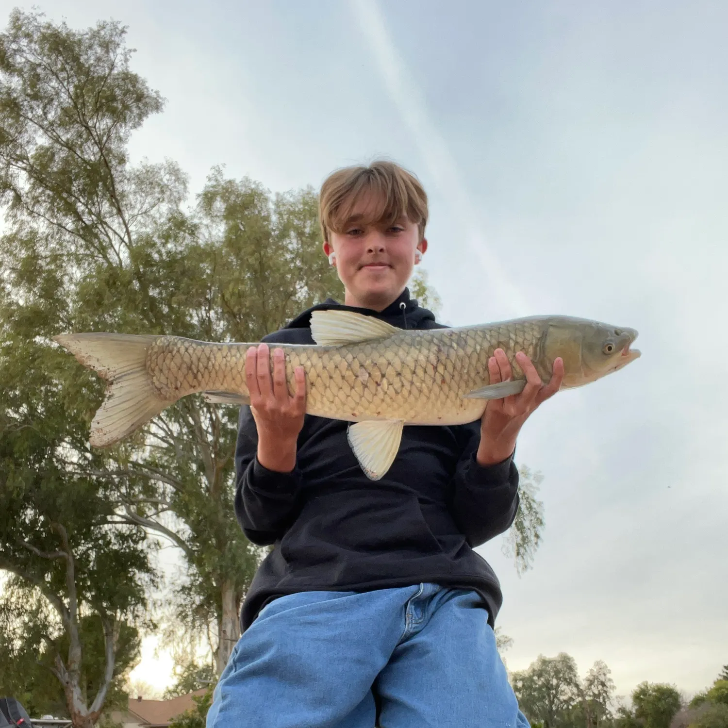The most recent Grass carp catches on Fishbrain