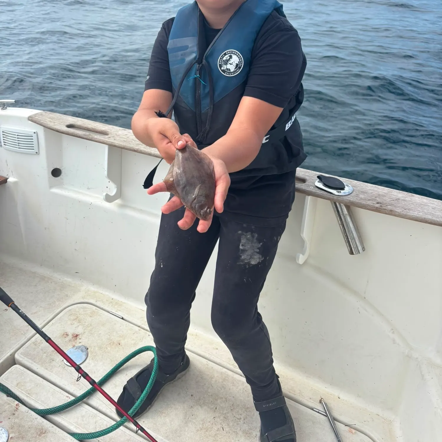 The most recent Common dab catches on Fishbrain