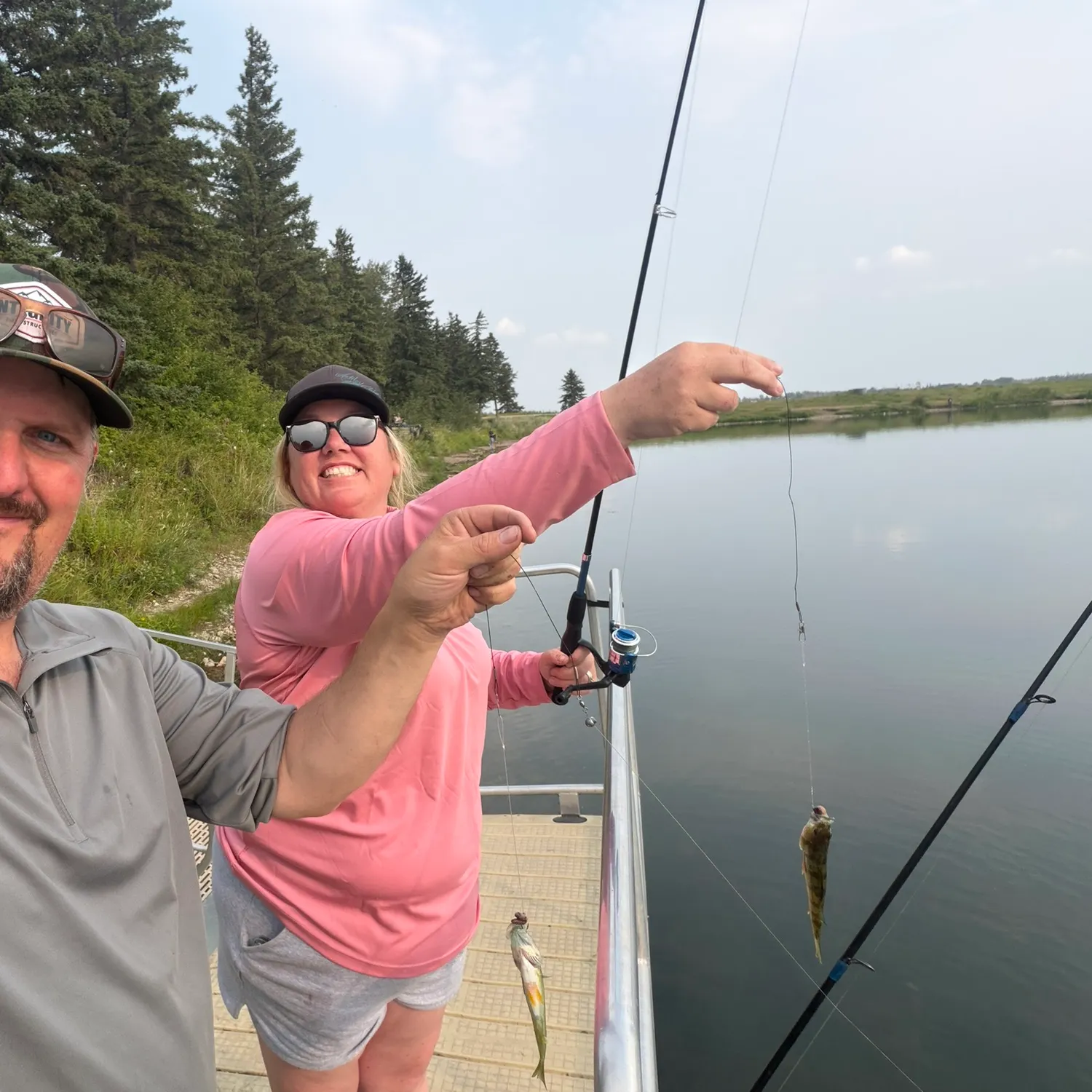 Yellow perch caught on Fishbrain