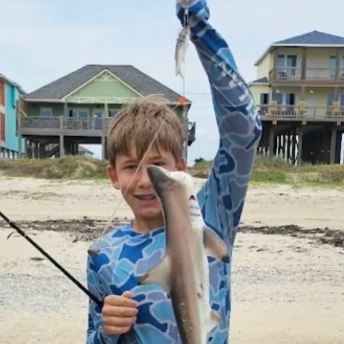 The most recent Blacktip shark catches on Fishbrain