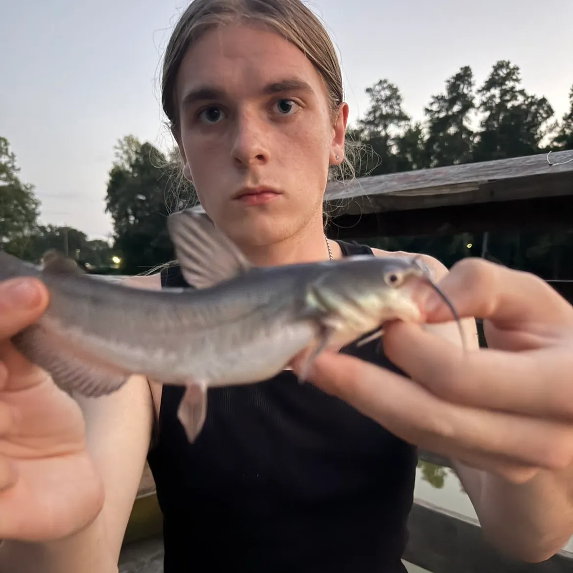 Channel catfish caught on Fishbrain