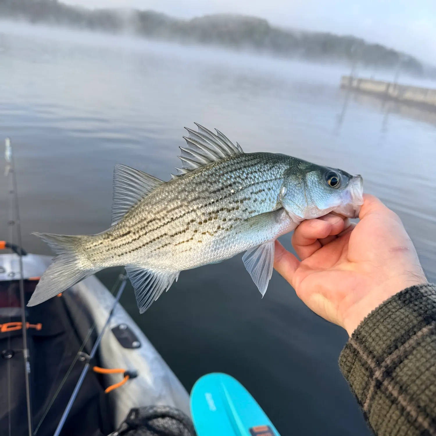Wiper caught on Fishbrain