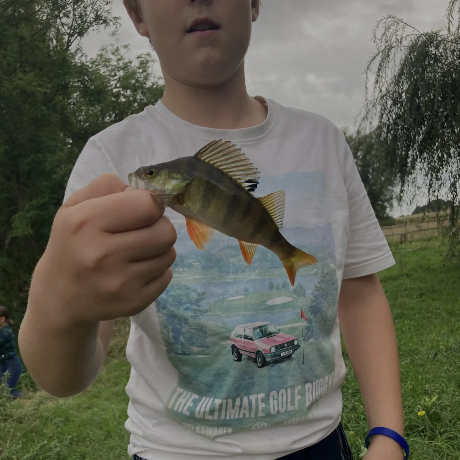 European perch caught on Fishbrain