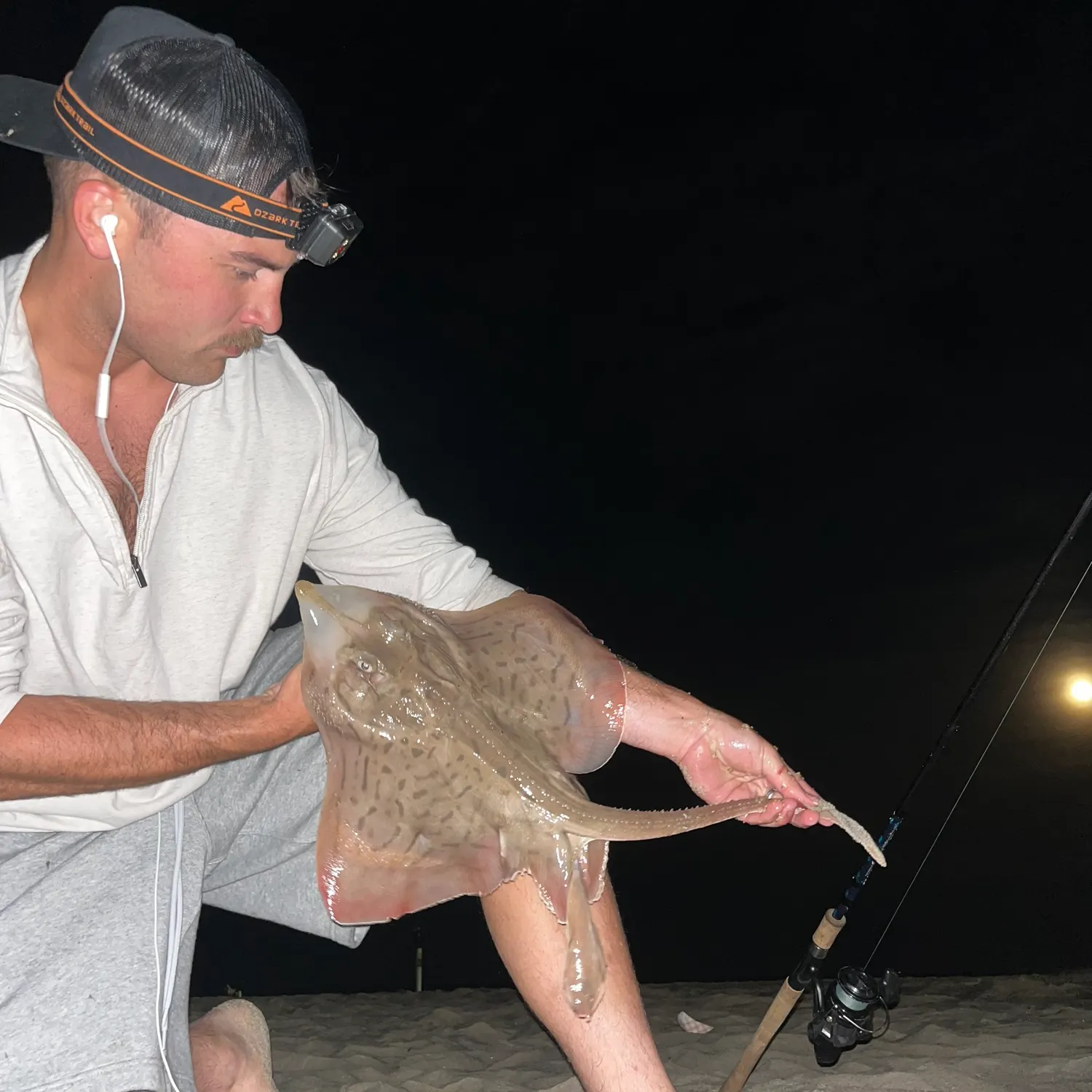 The most recent Clearnose skate catches on Fishbrain
