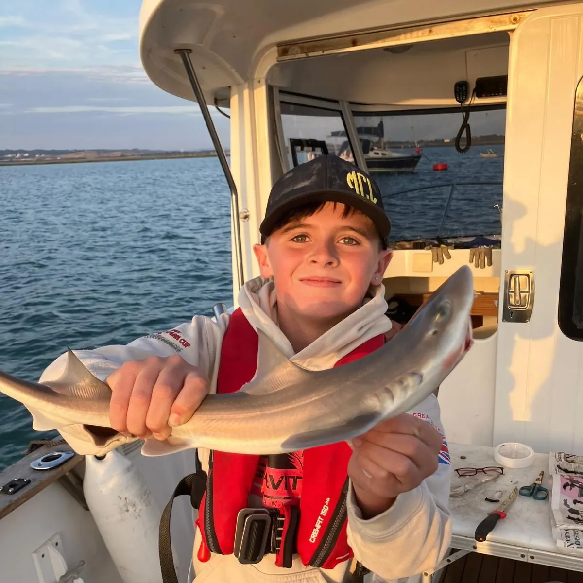 Starry smooth-hound caught on Fishbrain