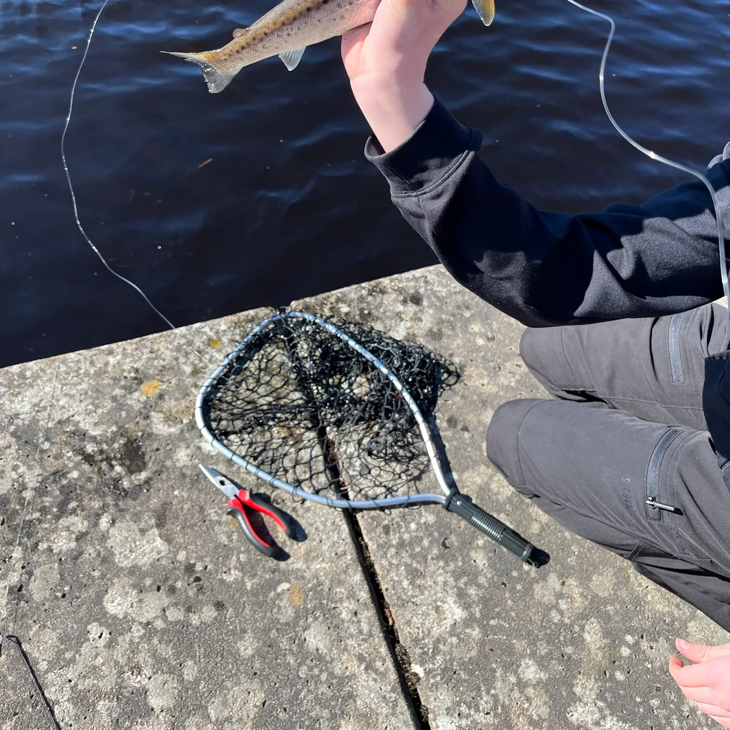 catch