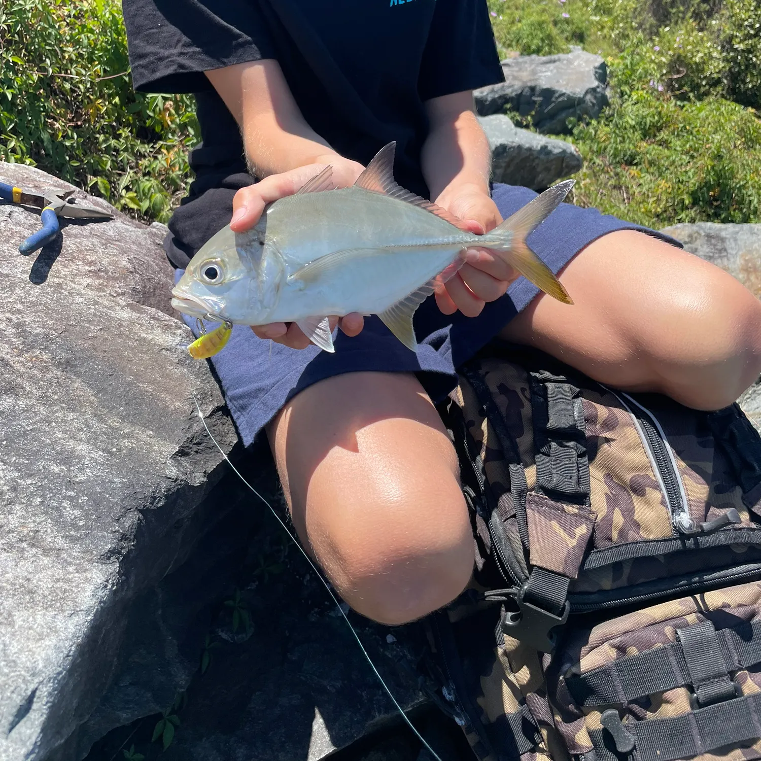 The most recent Bigeye trevally catches on Fishbrain