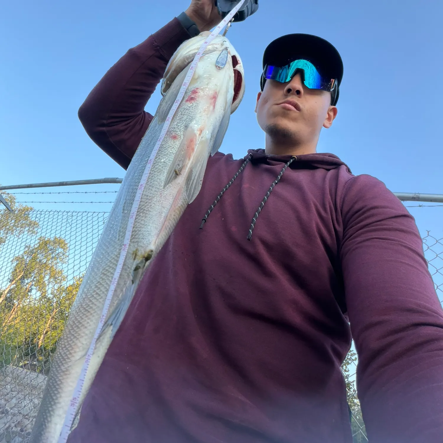 Silver carp caught on Fishbrain