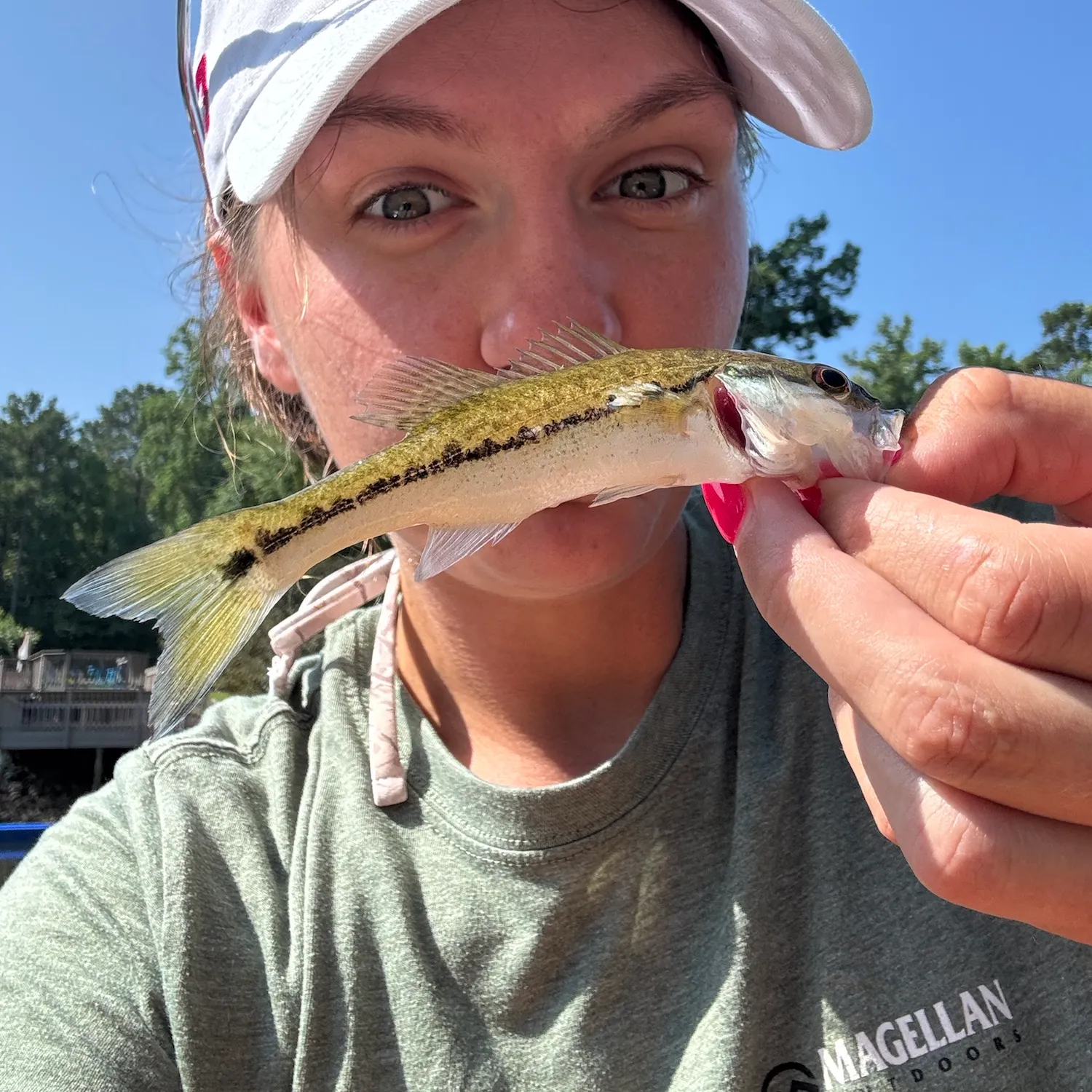 The most recent Alabama bass catches on Fishbrain
