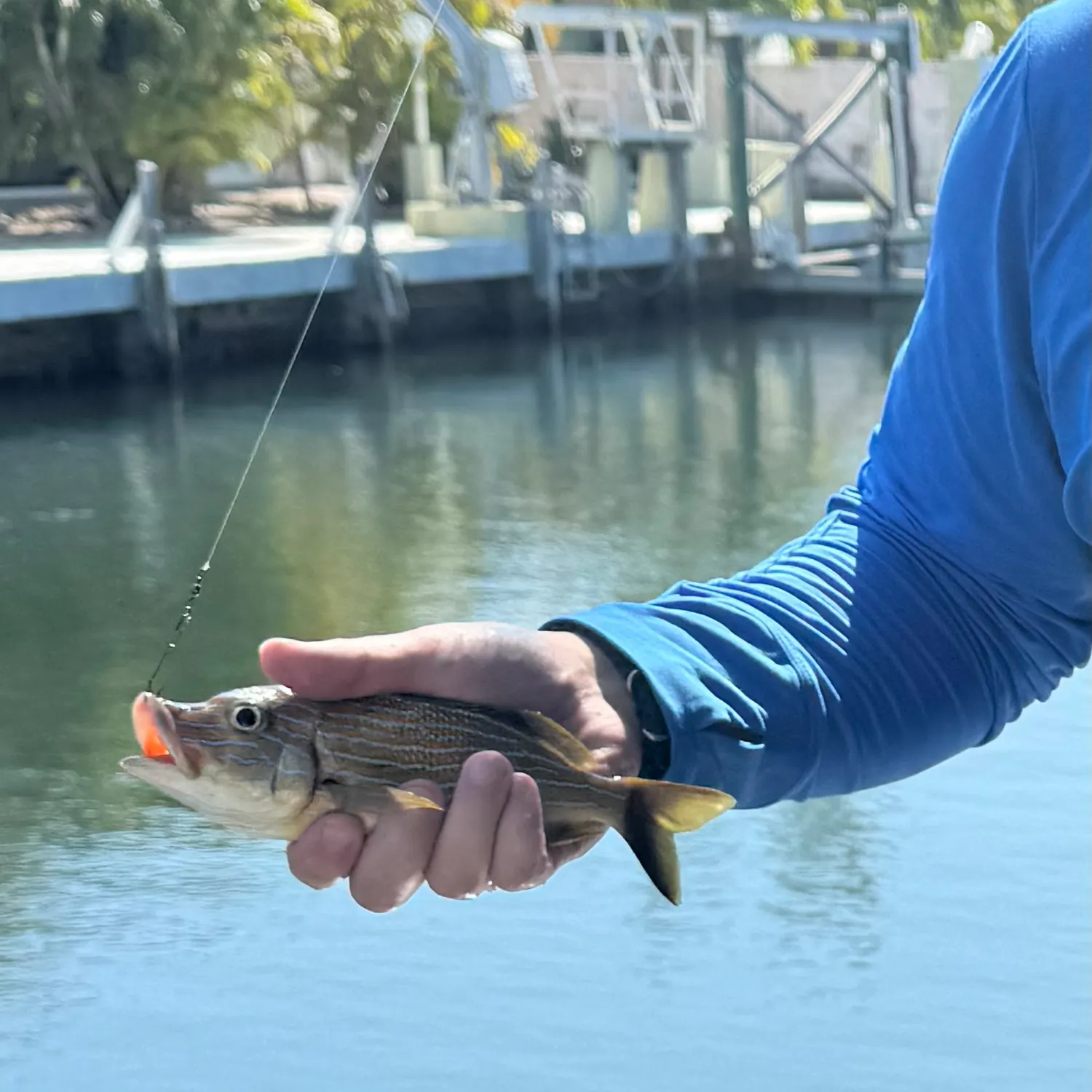 most liked catch image