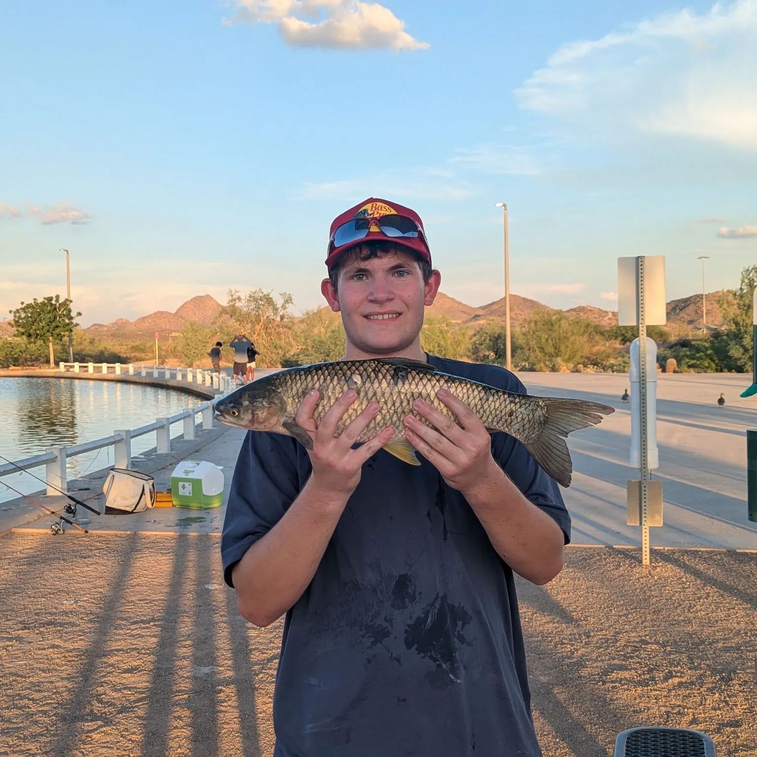 Grass carp caught on Fishbrain