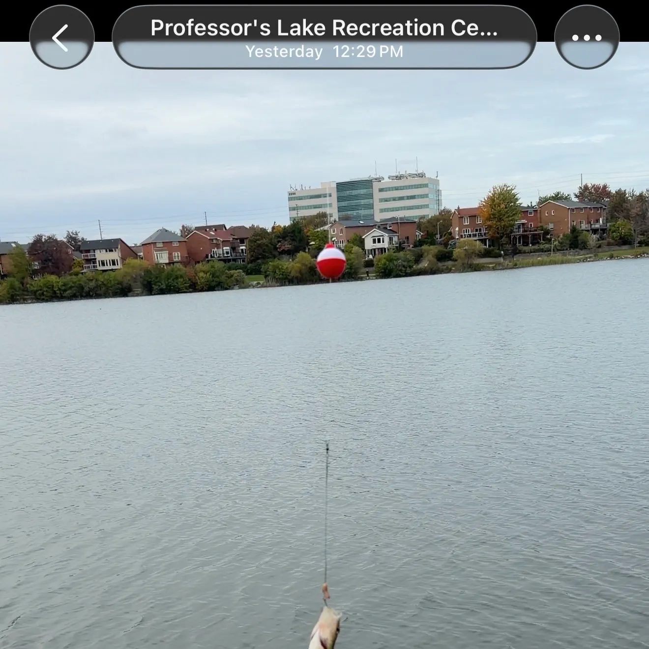 catch