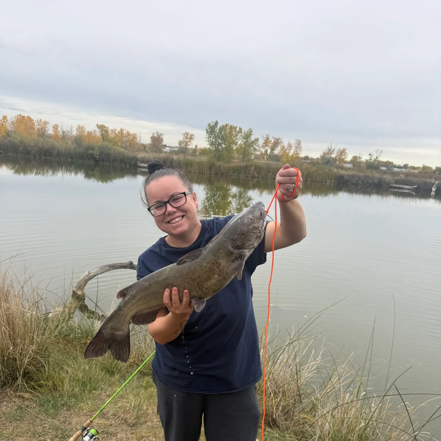 Channel catfish caught on Fishbrain