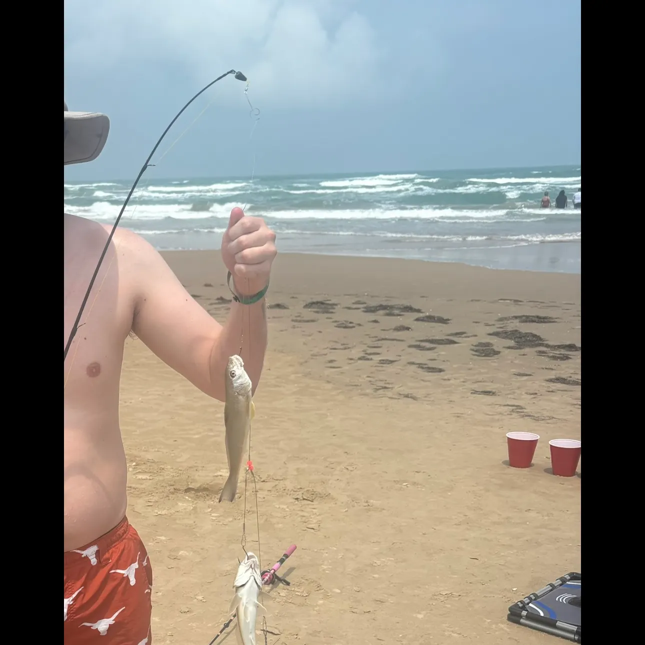 The most recent King George whiting catches on Fishbrain