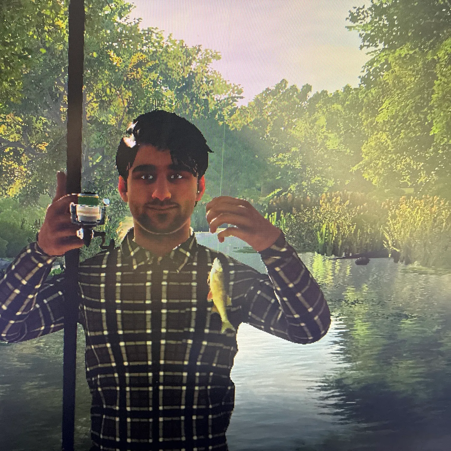 Golden shiner caught on Fishbrain