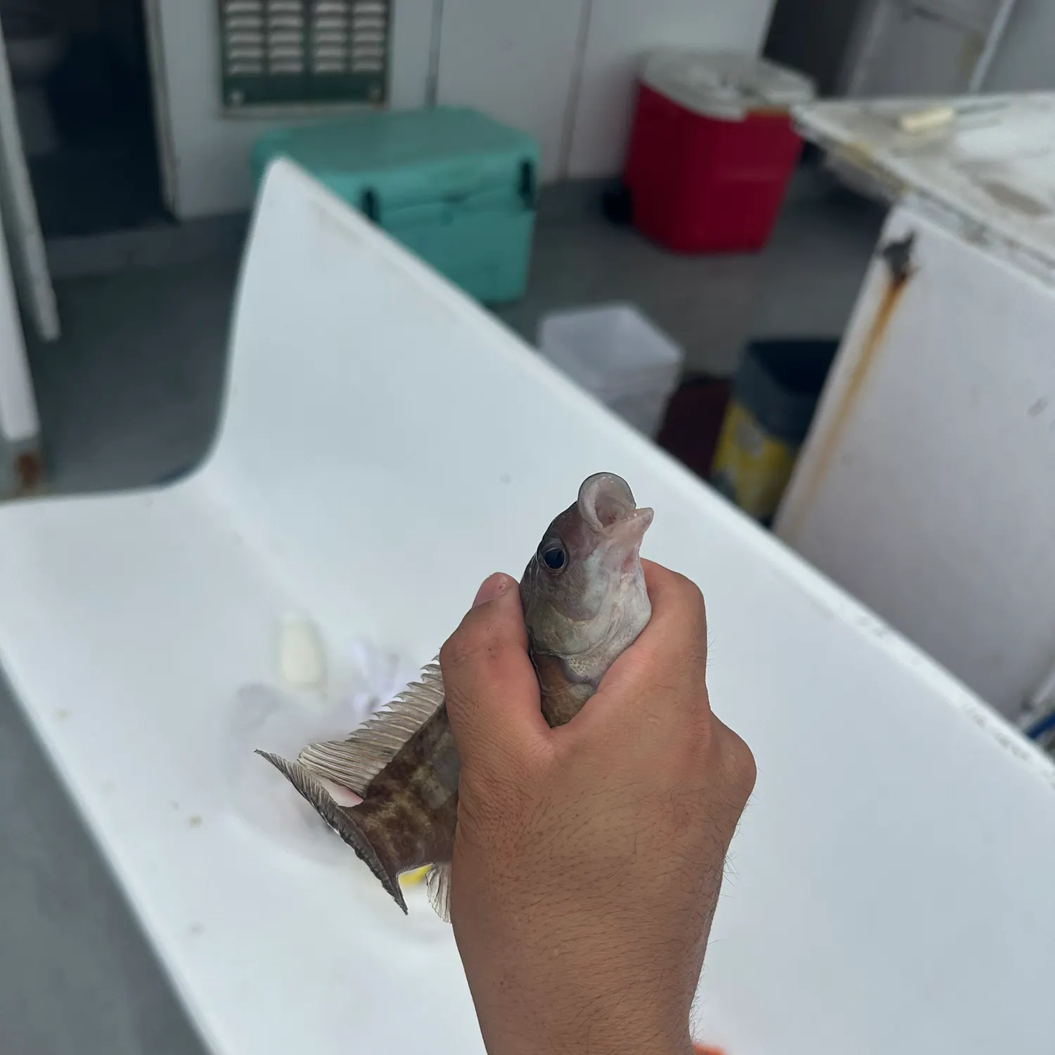 catch