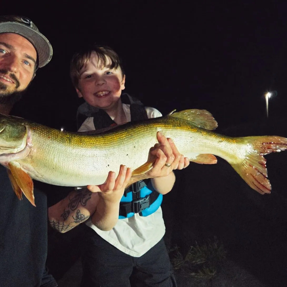 Muskie caught on Fishbrain